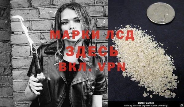 стафф Сясьстрой