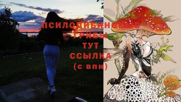 соль ск Тавда