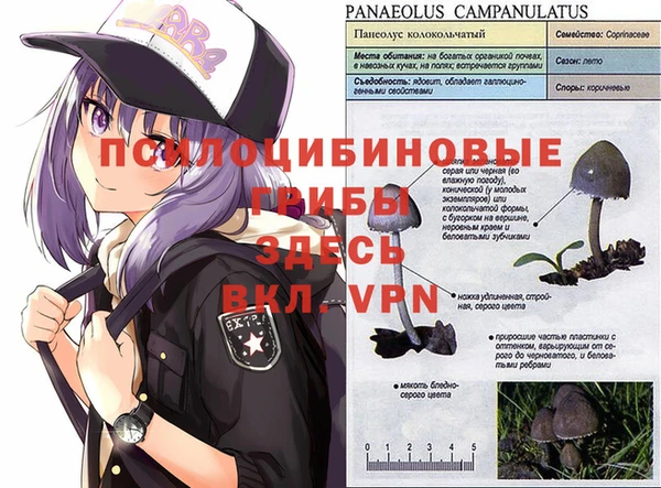 твердый Строитель