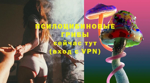 мескалин Тайга