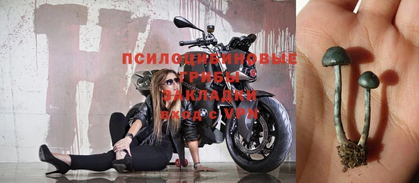 стафф Сясьстрой