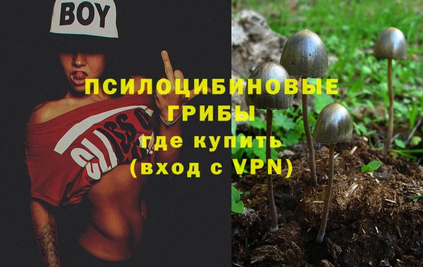 стафф Сясьстрой